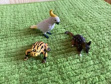Science and nature animal - animal, of