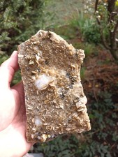 Chalkopyrit, Siderit, Galenit, Grube Georg, Horhausen, Westerwald, Siegerland