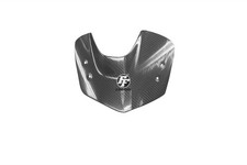 Carbon Windschutz für BMW K