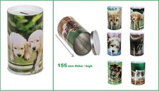 Golden-Retriever-Spardose-Hund