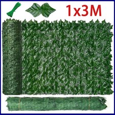 1-10x Sichtschutzhecke Efeu