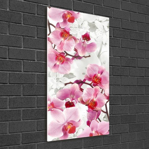 Wandbild druck auf plexiglas - wandbild, plexiglas®
