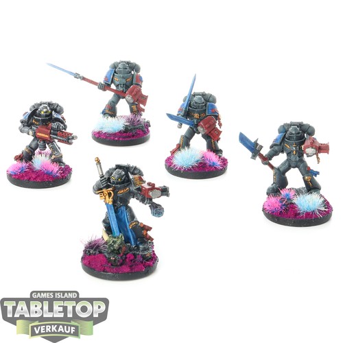 Grey knights - grey,
