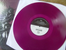 HORSE -  HORSE   progressive