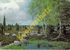 Lüneburger Heide AK Künstler Bernhard de Bruycker Heidschnucken Ansichtskarte