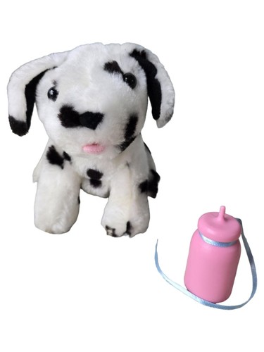 Pet hospital dalmatiner - pet,