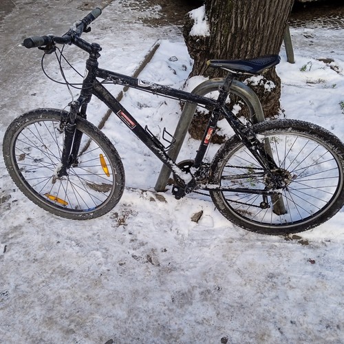 Mountainbike bulls - mountainbike,