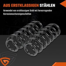 2x FEDER FAHRWERKSFEDER HINTEN