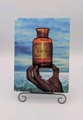 Blackfield v - -,