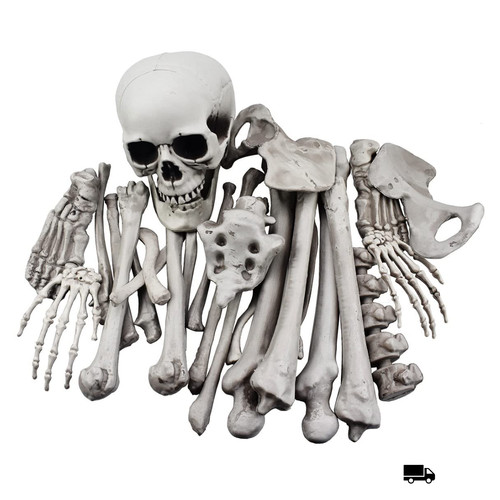 Halloween deko knochen set - halloween,