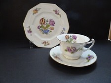 Rosenthal Bavaria Kaffeegedeck