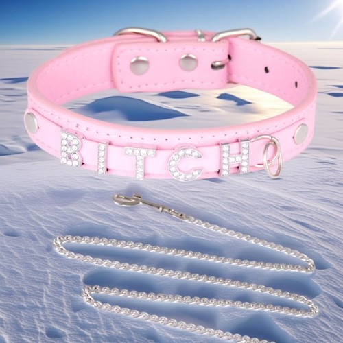 Bitch halsband - bitch,