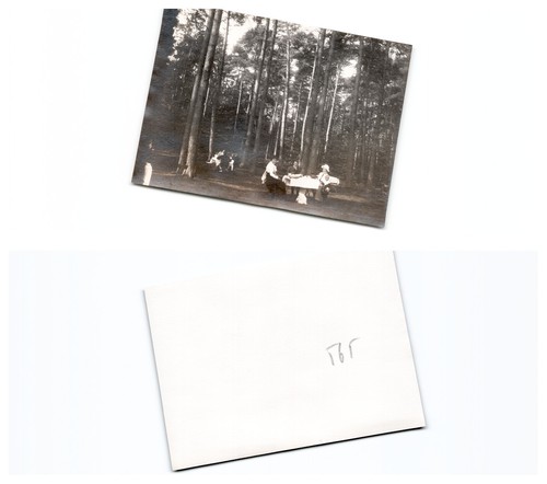 Westerplatte - (b77668a565),
