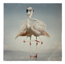 Rustie Green Language LP