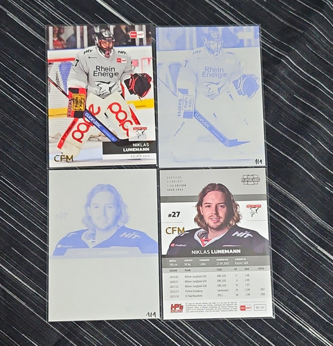 Del eishockey cfm plate - cfm,