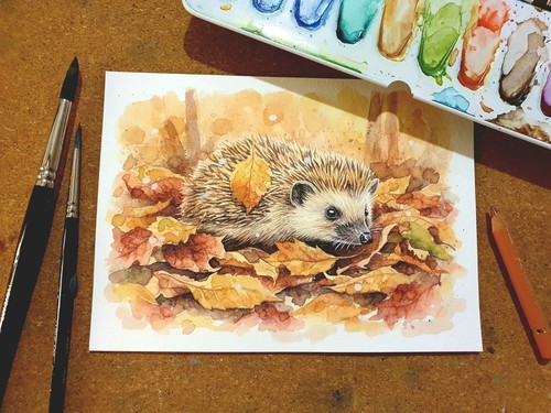 Aquarell igel herbstlaub - aquarell,