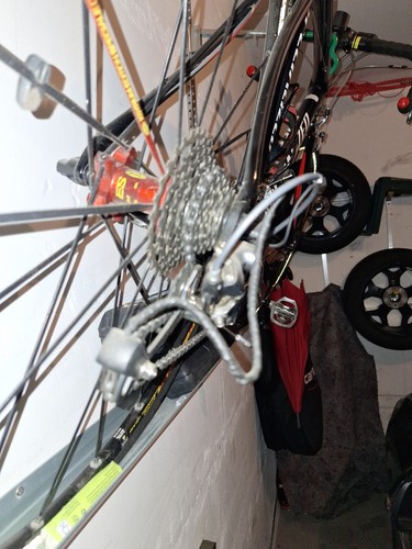 Rennrad carbon - rennrad,