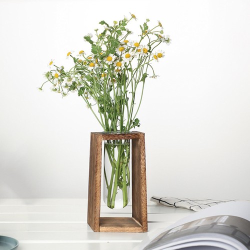 Glas hydrokultur vase - glas,