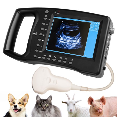 Tragbare veterinär - tragbare,