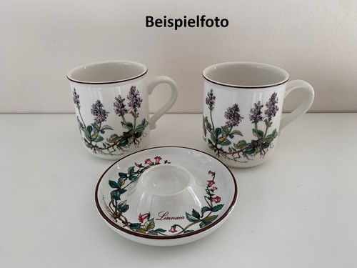 Villeroy boch botanica - &, *