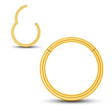 Piercingring Clicker Edelstahl Segmentring Septum Universal Nase Lippe Ohr 316l