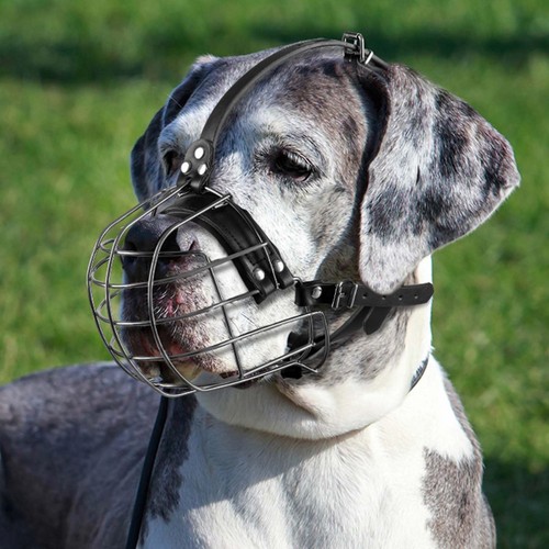 Hundemaulkorb metall - hundemaulkorb,