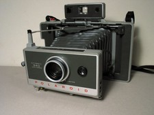 Polaroid 340 Sofortbildkamera