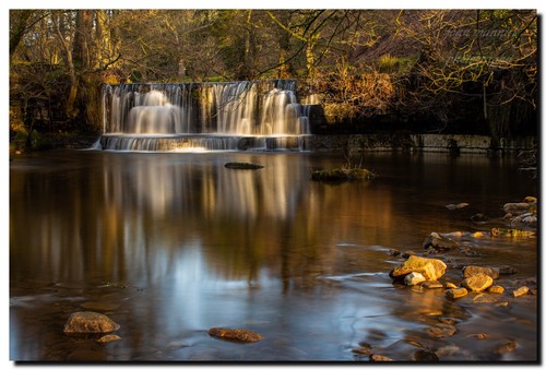 Nidd falls yorkshire - yorkshire, uk
