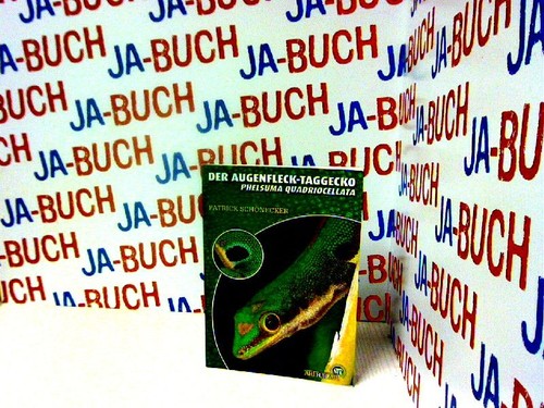 Der augenfleck taggecko - der, augenfleck-taggecko