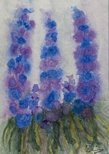 RITTERSPORN original Aquarell