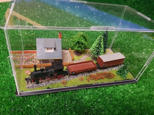 Diorama mit vitrine - diorama,