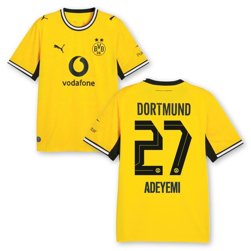 Puma bvb heimtrikot kinder - bvb,