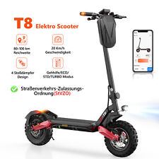 E-Scooter Mit