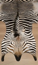 Hartmann Bergzebra Zebrafell