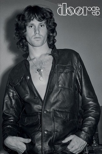 The doors maxi - the, morrison)