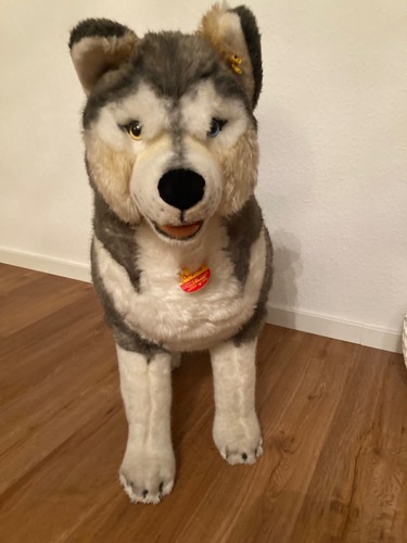 Steiff studio husky grau - studio, husky,