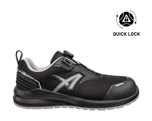 Albatros dalton low - dalton, ql