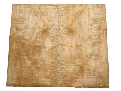 Muschel ahorn furnier quilted - muschel,