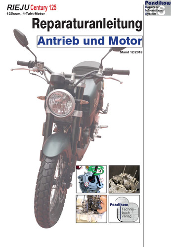 Reparaturanleitung ris rieju - reparaturanleitung,