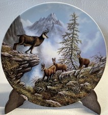 Sammelteller / Wandteller –