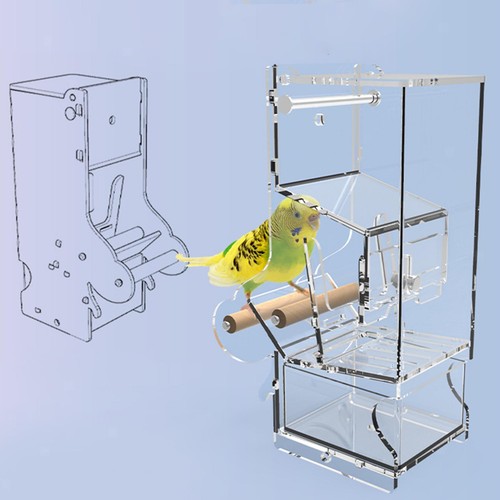 Mess bird feeder - bird,