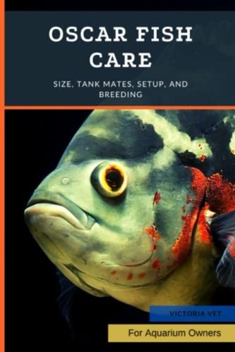 Oscar fish care - oscar,