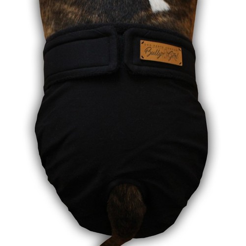 Läufigkeitshose hund nach - hund,