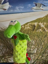 Handpuppe Drache von HABA ca