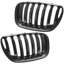 Nieren Grill Kühlergrill