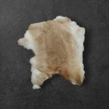 NEUE Kaninchenfelle in