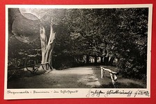 AK REGENWALDE in Pommern 1939 Im Schlosspark   ( 7907