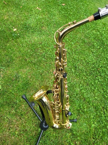 Amati kraslice aas - amati,
