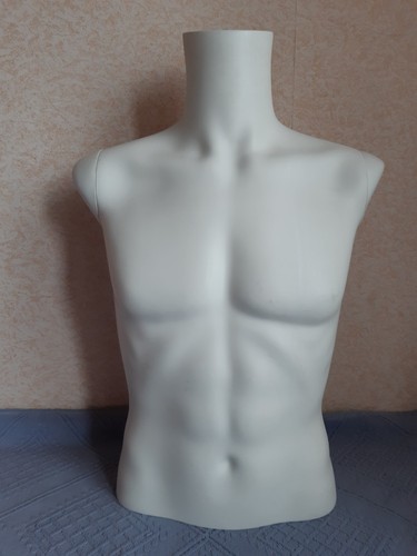 Torso büste männlich - büste,