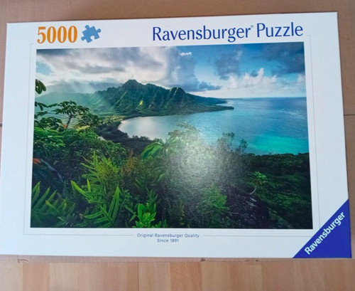Ravensburger puzzle 5000 - ravensburger,